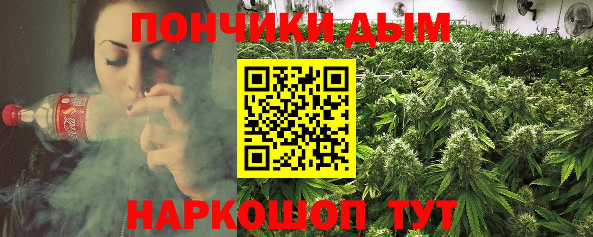Канабис ГИДРОПОН  Шишки марихуана сатива  Узловая  Вход с VPN  Шишки марихуана семена 
